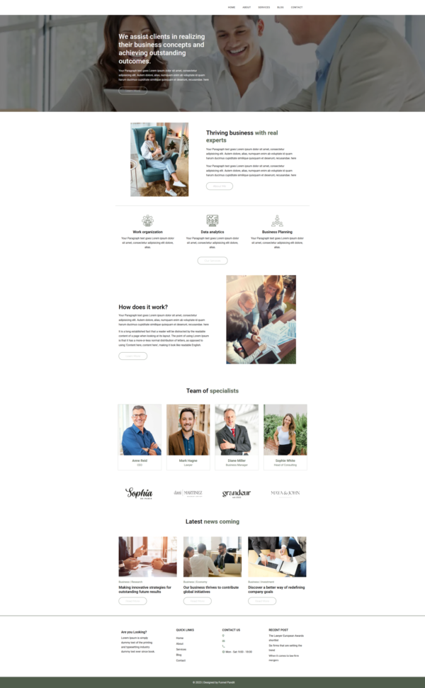 Website Consultant